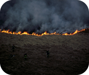 incendi_torbera_Samuel Ward2