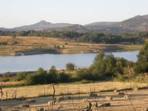 Reserva Gerês-Xurés, Galícia. Autor: Adrián Regos