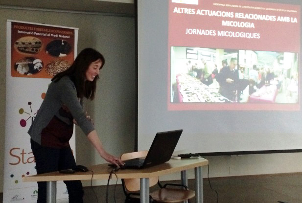 StarTree 3rd Regional Stakeholder Group meeting in Catalonia News