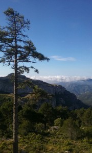 la foto