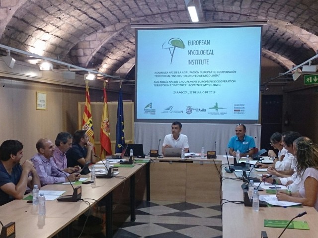 The European Mycological Institute held its first Assembly in Zaragoza News