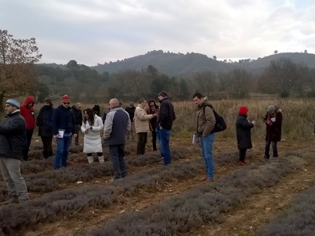 HERBARTIS project’s transnational mobility took place in Haute Provence (France) News