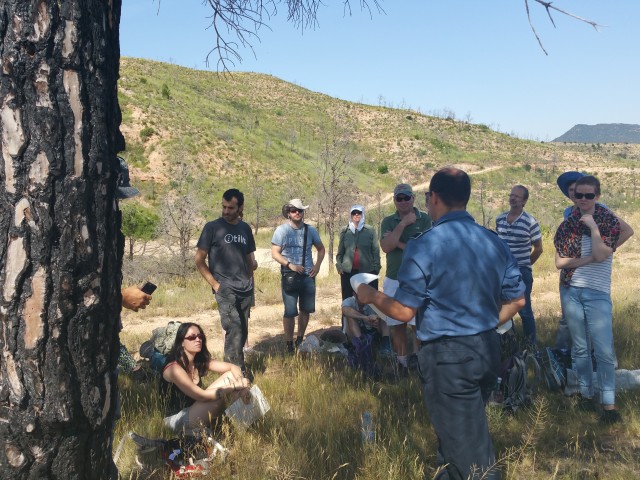 Una mirada internacional a l’ús del foc com a eina de conservació de la biodiversitat Notícies