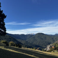 imatge notícia blog