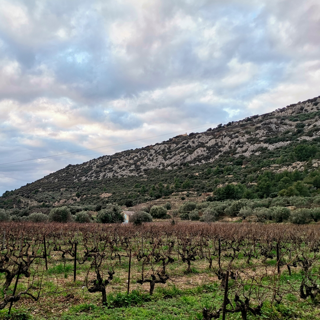 Mont Ventoux - RES-MAB