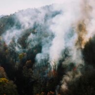 imatge notícia blog