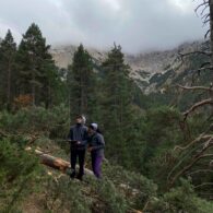 imatge notícia blog