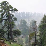 imatge notícia blog