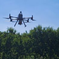 imatge notícia blog