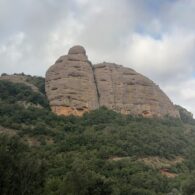 imatge notícia blog