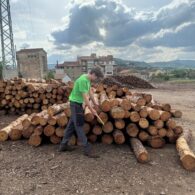 Un operari de la serradora Fustes Jané utilitza la destral d'inserció per marcar els troncs al parc de fusta durant les proves pilot del projecte SINTETIC.